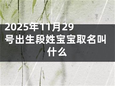 2025年11月29号出生段姓宝宝取名叫什么