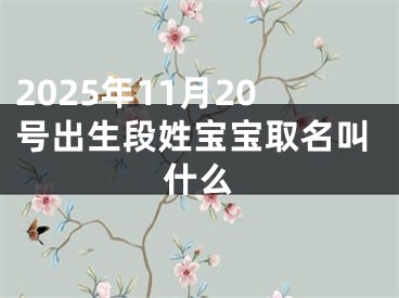 2025年11月20号出生段姓宝宝取名叫什么