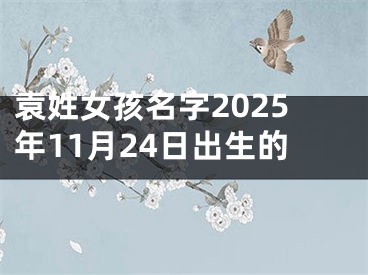 袁姓女孩名字2025年11月24日出生的
