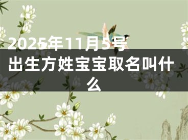 2025年11月5号出生方姓宝宝取名叫什么