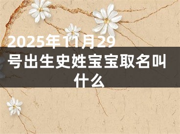 2025年11月29号出生史姓宝宝取名叫什么