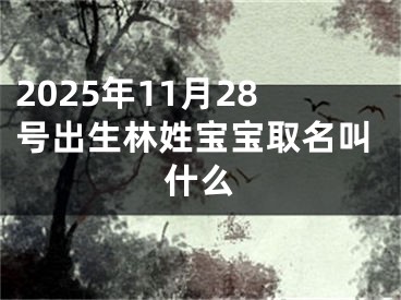 2025年11月28号出生林姓宝宝取名叫什么