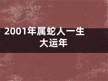 2001年属蛇人一生大运年