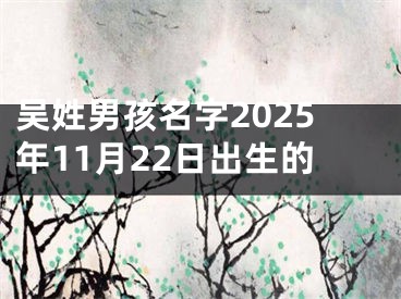 吴姓男孩名字2025年11月22日出生的