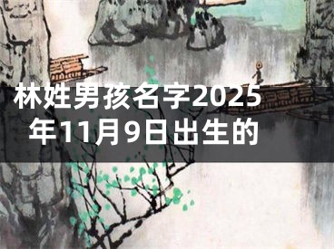 林姓男孩名字2025年11月9日出生的