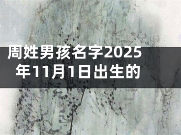 周姓男孩名字2025年11月1日出生的