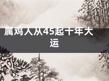属鸡人从45起十年大运