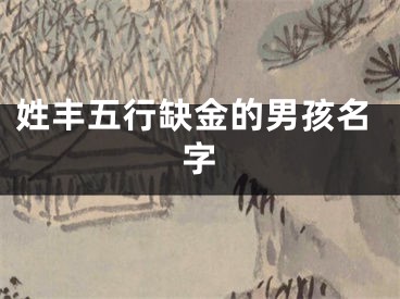 姓丰五行缺金的男孩名字