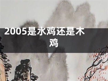 2005是水鸡还是木鸡