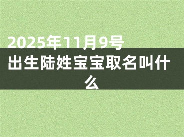 2025年11月9号出生陆姓宝宝取名叫什么