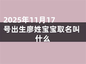 2025年11月17号出生廖姓宝宝取名叫什么