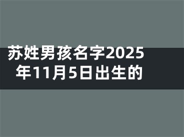 苏姓男孩名字2025年11月5日出生的