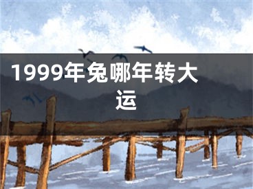 1999年兔哪年转大运