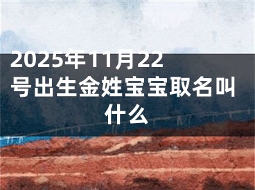 2025年11月22号出生金姓宝宝取名叫什么