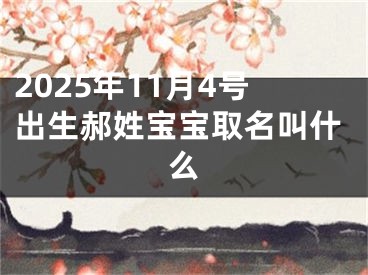 2025年11月4号出生郝姓宝宝取名叫什么