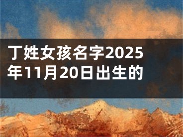 丁姓女孩名字2025年11月20日出生的