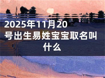 2025年11月20号出生易姓宝宝取名叫什么