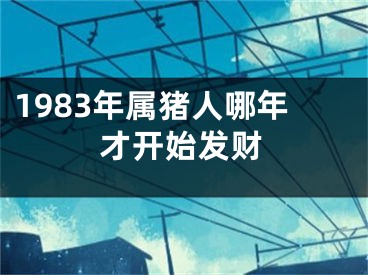 1983年属猪人哪年才开始发财