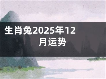 生肖兔2025年12月运势