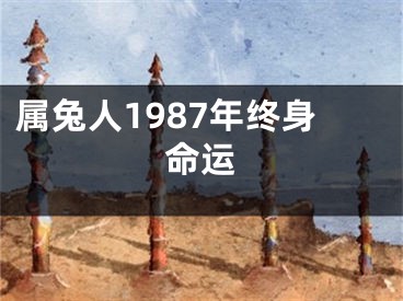 属兔人1987年终身命运