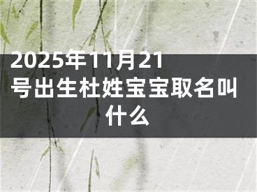 2025年11月21号出生杜姓宝宝取名叫什么