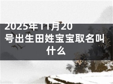 2025年11月20号出生田姓宝宝取名叫什么