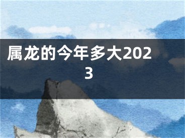 属龙的今年多大2023