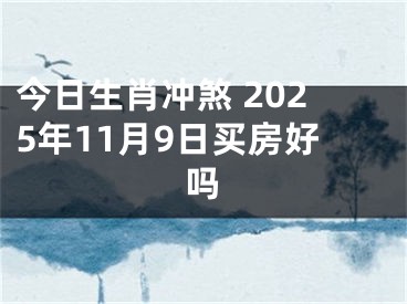今日生肖冲煞 2025年11月9日买房好吗
