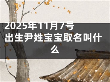 2025年11月7号出生尹姓宝宝取名叫什么