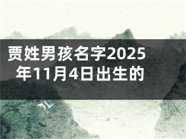 贾姓男孩名字2025年11月4日出生的