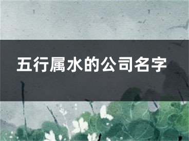 五行属水的公司名字