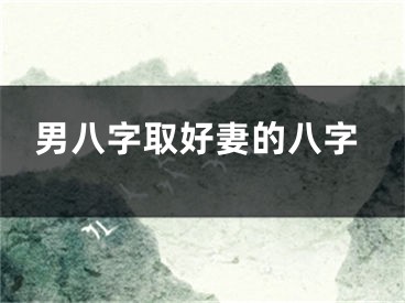 男八字取好妻的八字