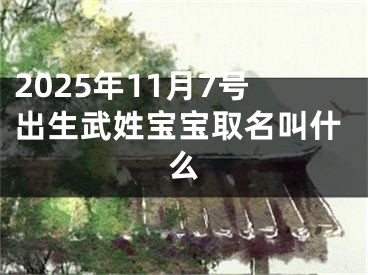 2025年11月7号出生武姓宝宝取名叫什么