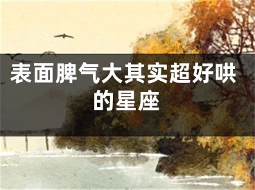 表面脾气大其实超好哄的星座