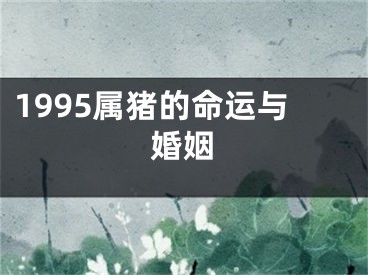 1995属猪的命运与婚姻