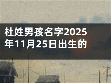 杜姓男孩名字2025年11月25日出生的