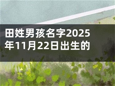 田姓男孩名字2025年11月22日出生的