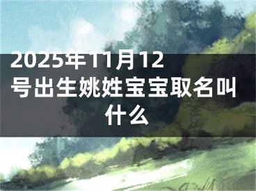 2025年11月12号出生姚姓宝宝取名叫什么