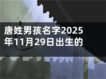 唐姓男孩名字2025年11月29日出生的