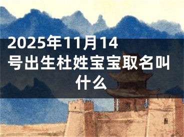 2025年11月14号出生杜姓宝宝取名叫什么