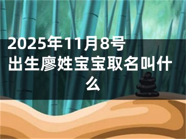 2025年11月8号出生廖姓宝宝取名叫什么