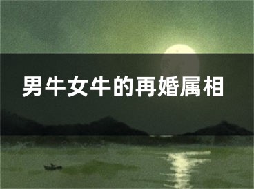 男牛女牛的再婚属相