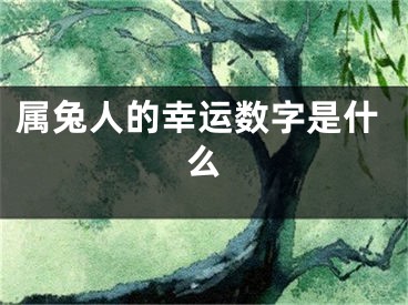 属兔人的幸运数字是什么