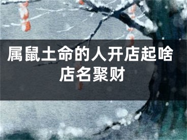 属鼠土命的人开店起啥店名聚财