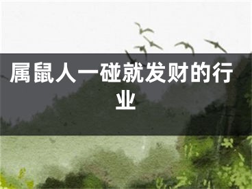 属鼠人一碰就发财的行业