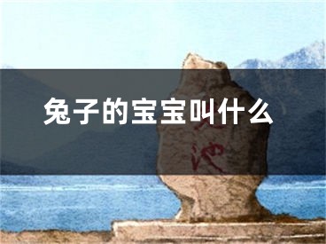 兔子的宝宝叫什么