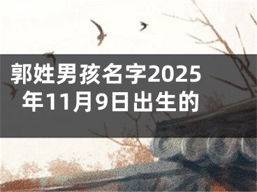 郭姓男孩名字2025年11月9日出生的