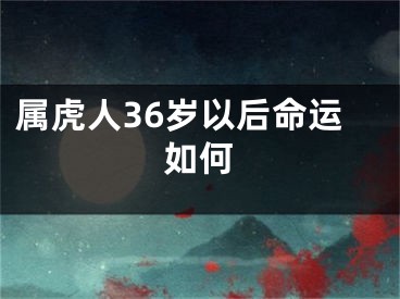属虎人36岁以后命运如何