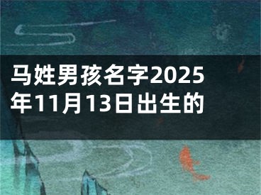 马姓男孩名字2025年11月13日出生的