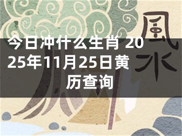 今日冲什么生肖 2025年11月25日黄历查询